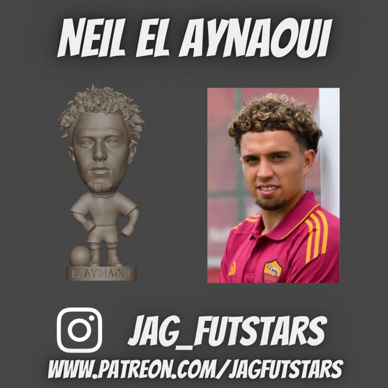 El Aynaoui, Neil