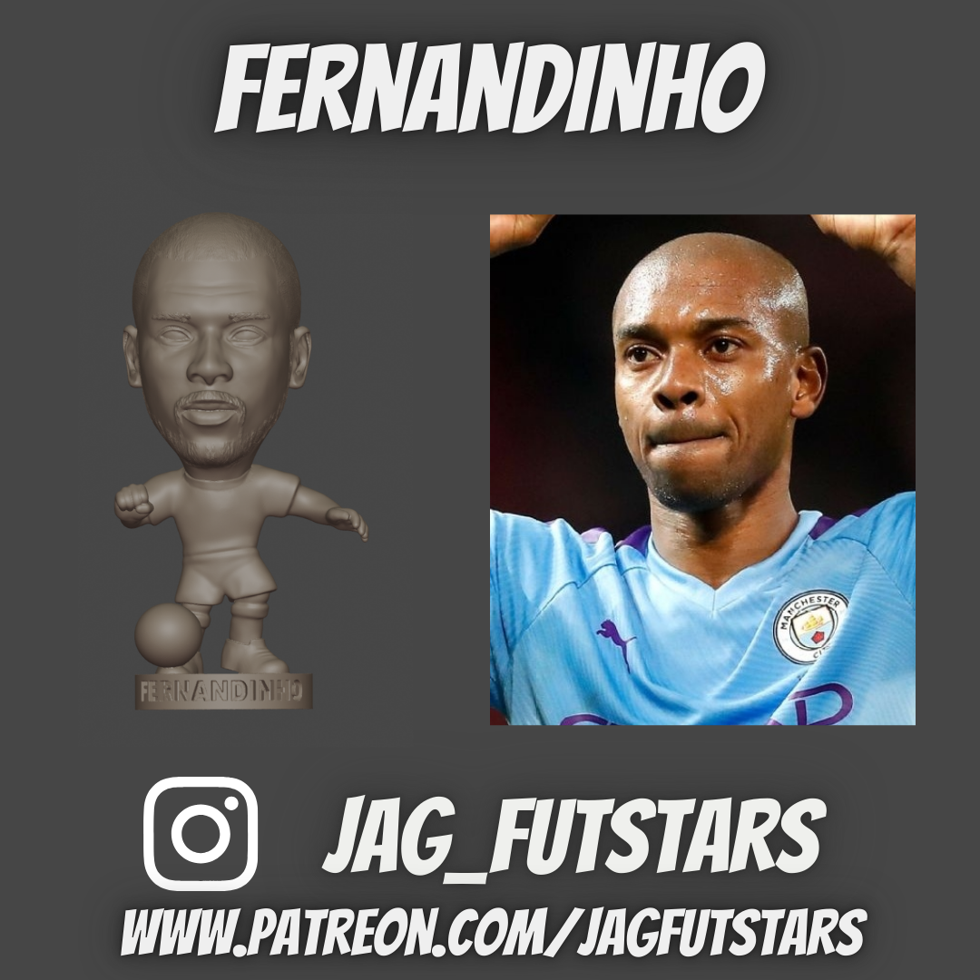 Fernandinho - Manchester City