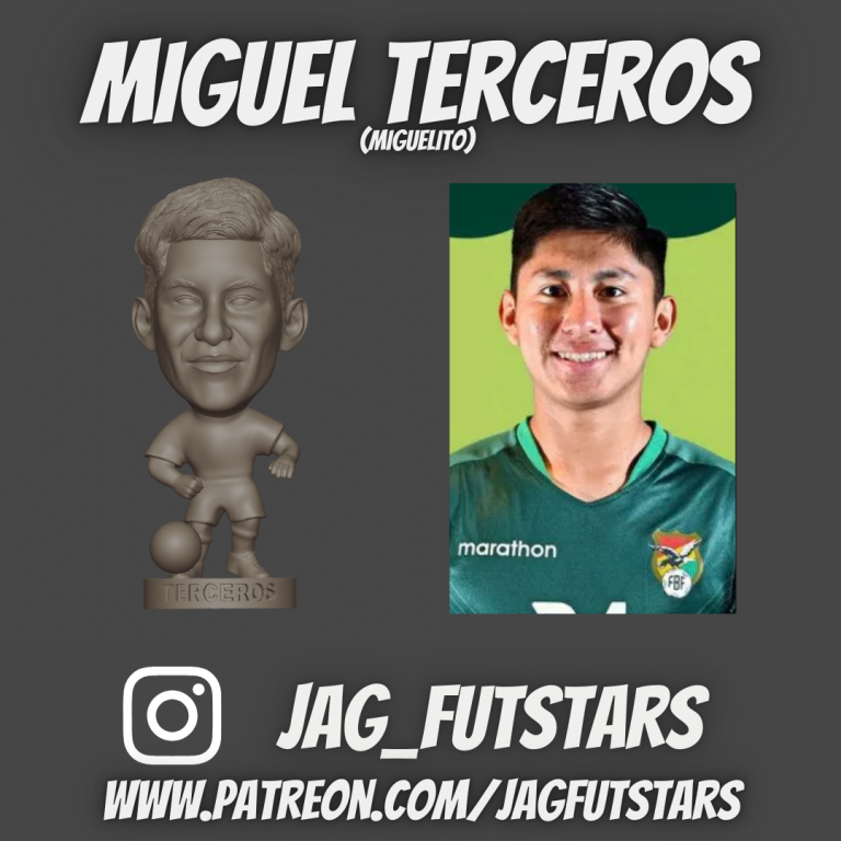 Terceros, Miguel