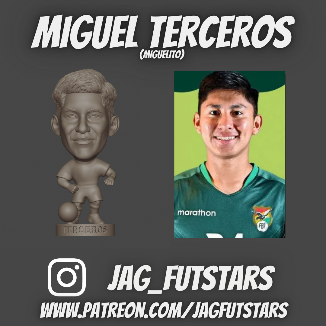 Terceros, Miguel
