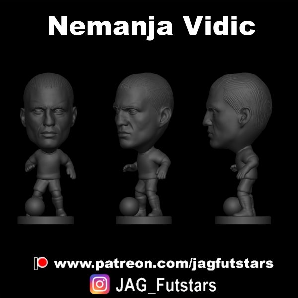 Vidic, Nemanja